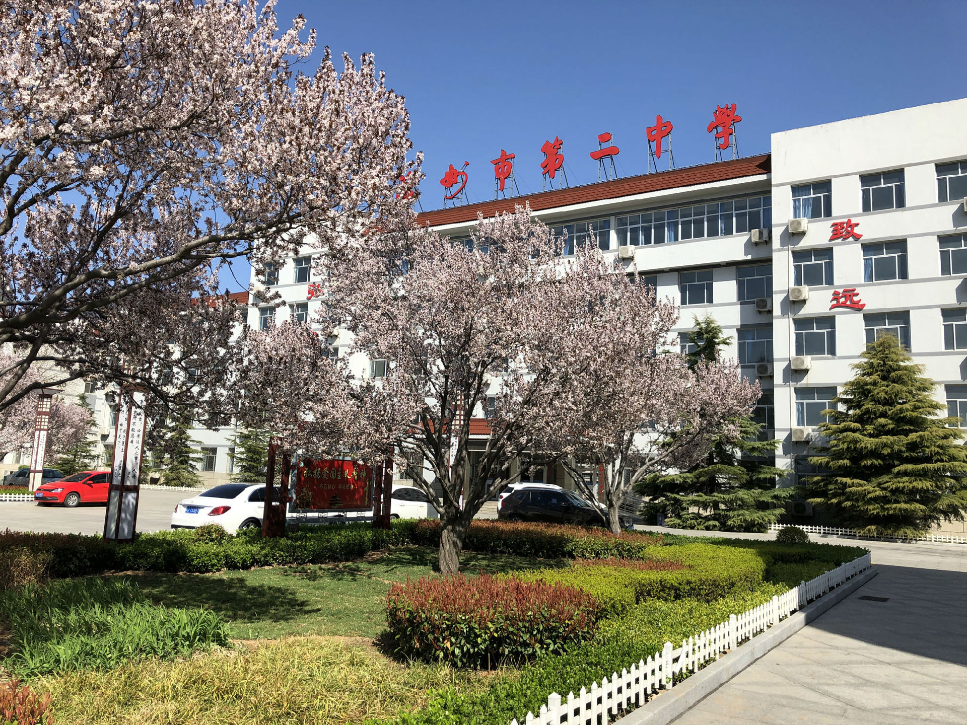 校园春景.jpg