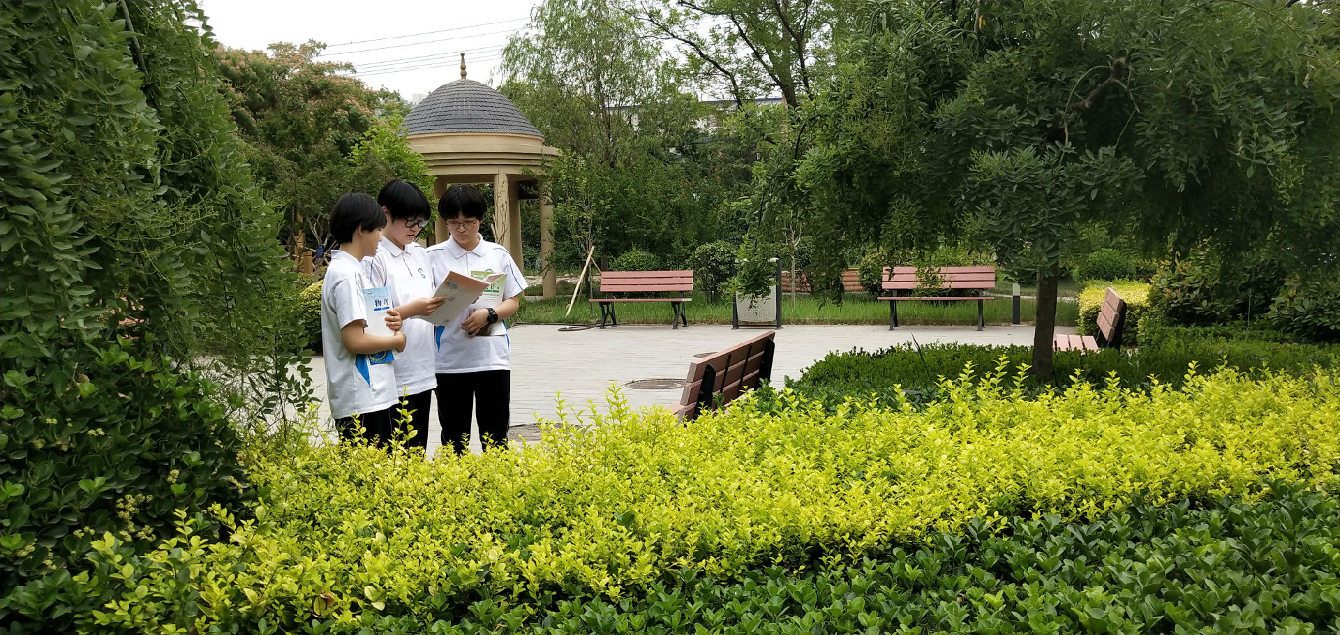 微信图片_202006191450422.jpg