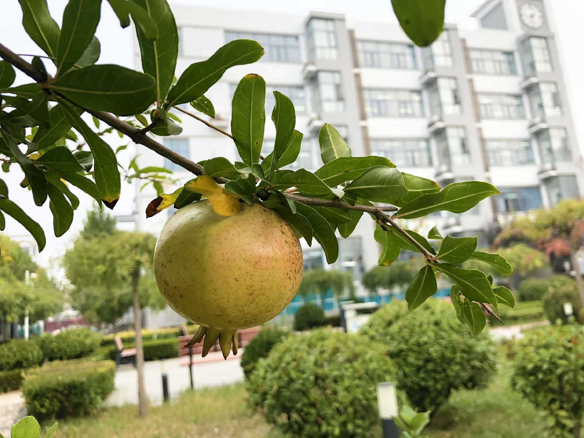 微信图片_201910241415401.jpg