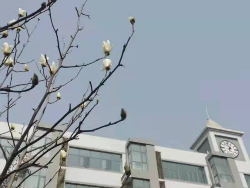 微信图片_202203311242362.jpg