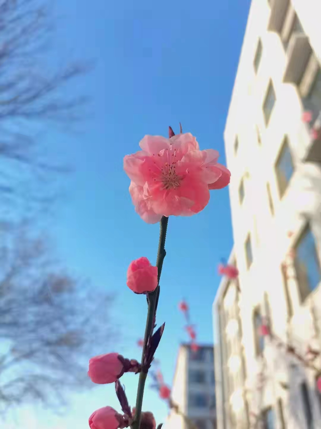 微信图片_202204011559271.jpg