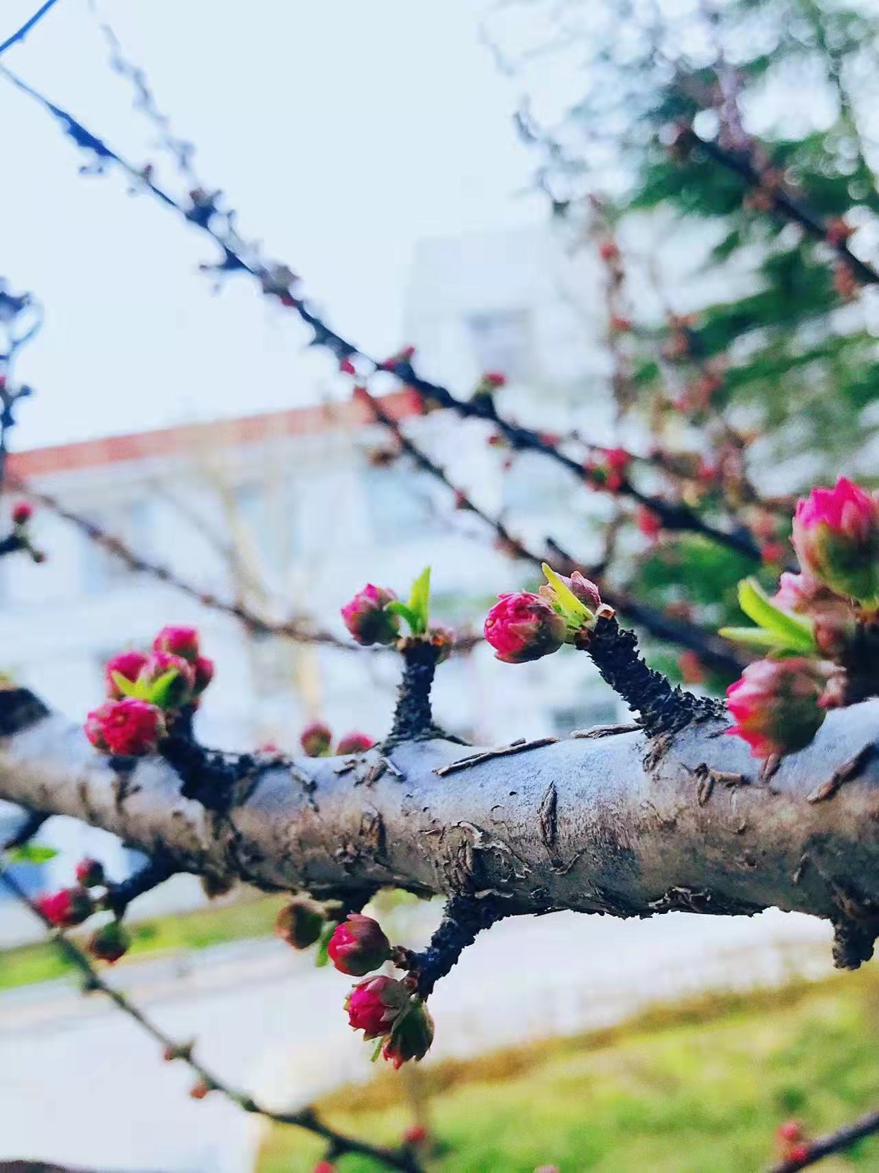 微信图片_202204011559272.jpg