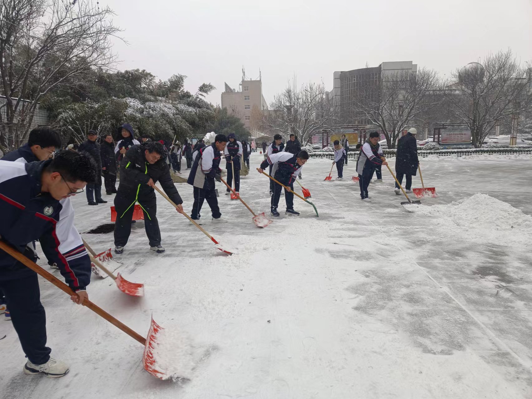 微信图片_20231214111636.jpg
