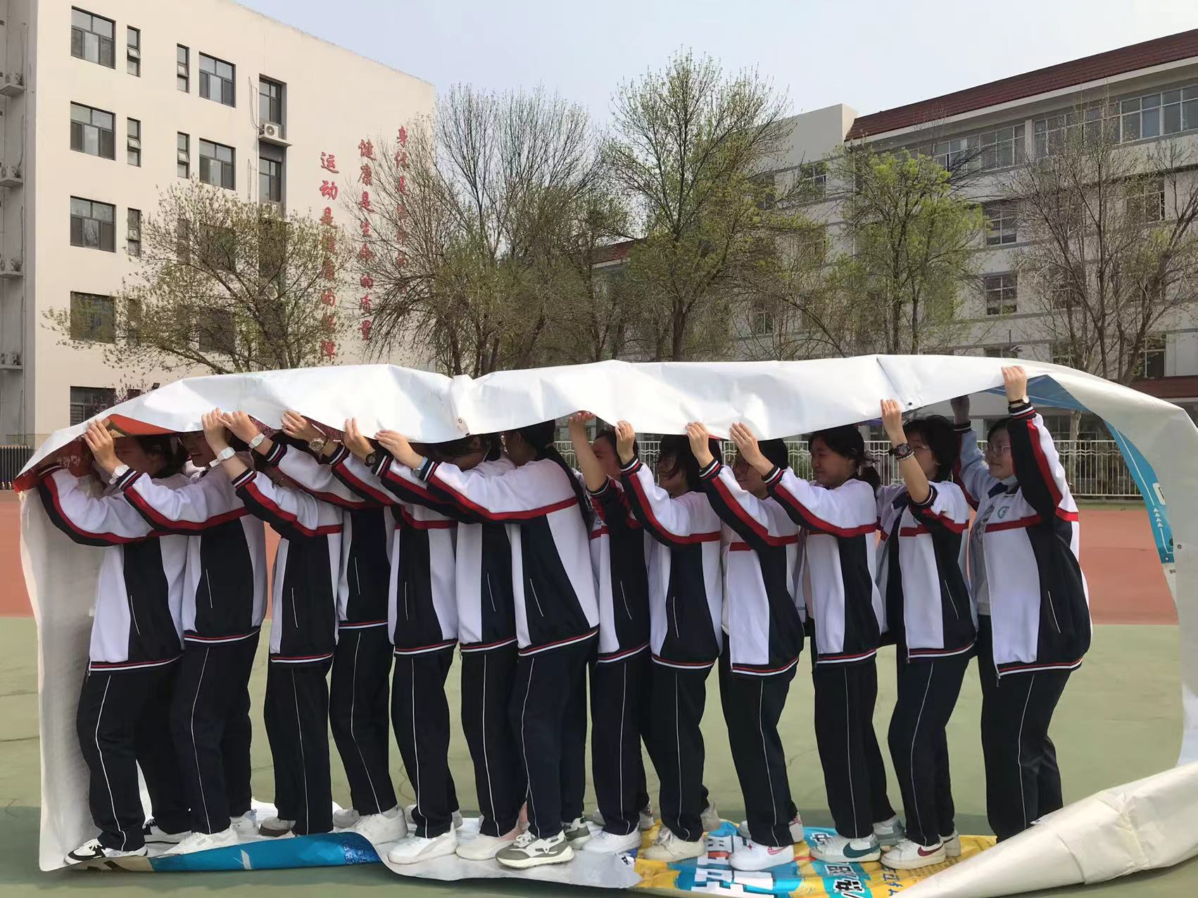 6-2.jpg 图片