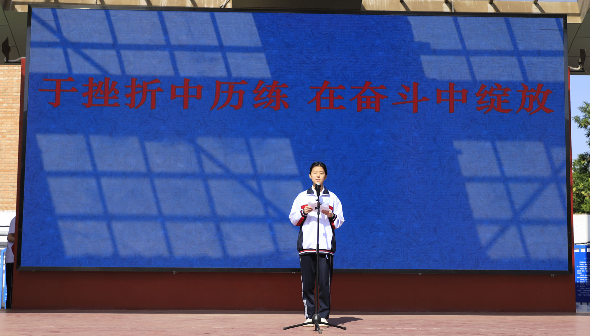 1.jpg 图片