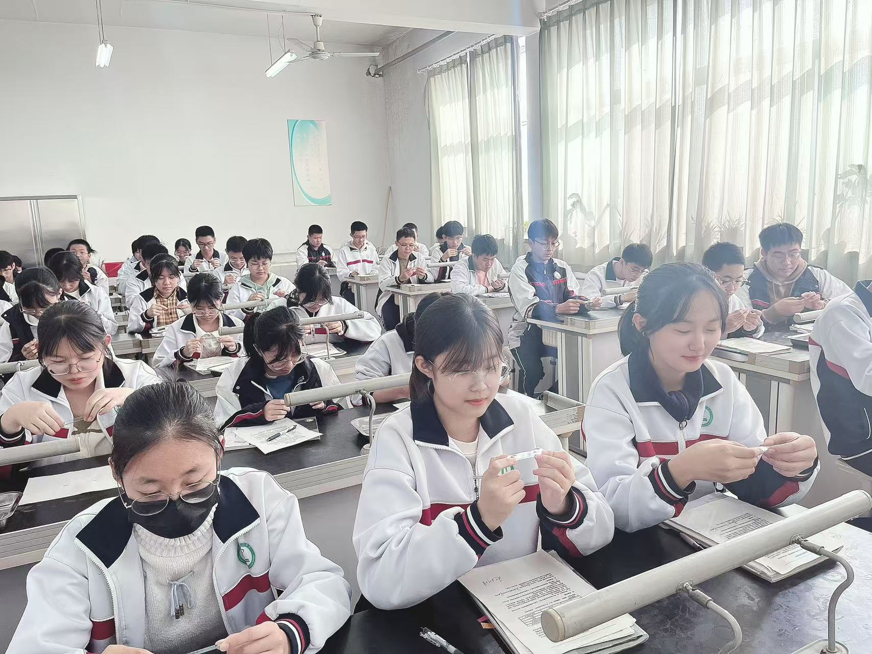 微信图片_202410281448161.jpg 图片