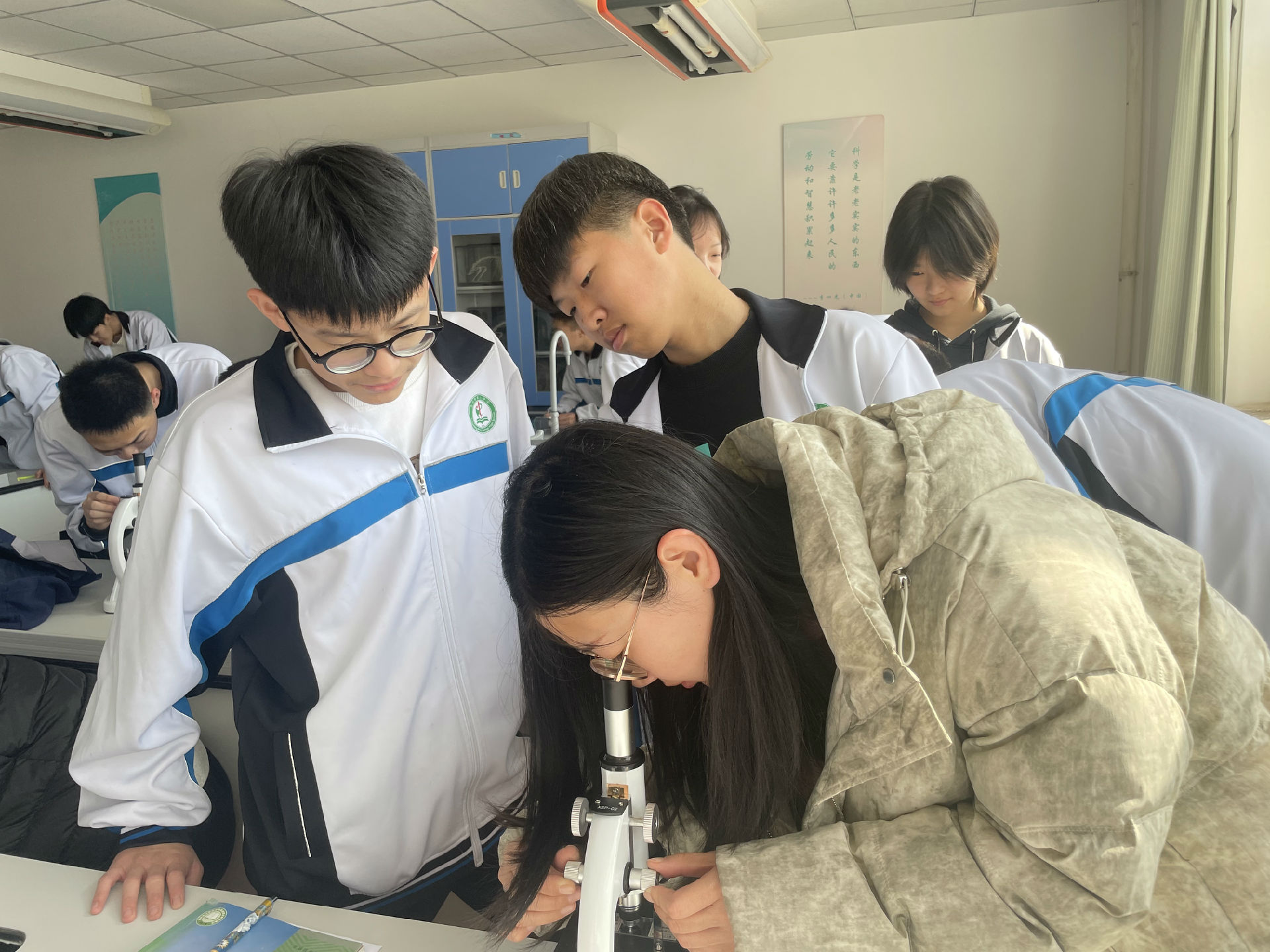 微信图片_20250307092056.jpg