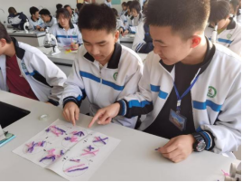 探索生命的密码873.png